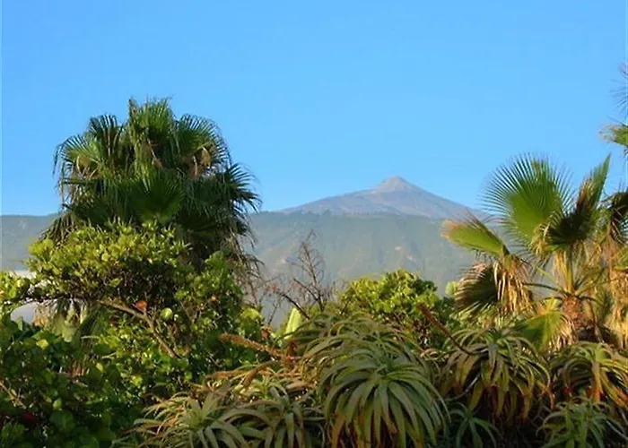 Alta 公寓 拉克鲁斯