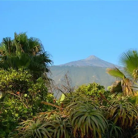 Alta Lejlighed Puerto de la Cruz (Tenerife)